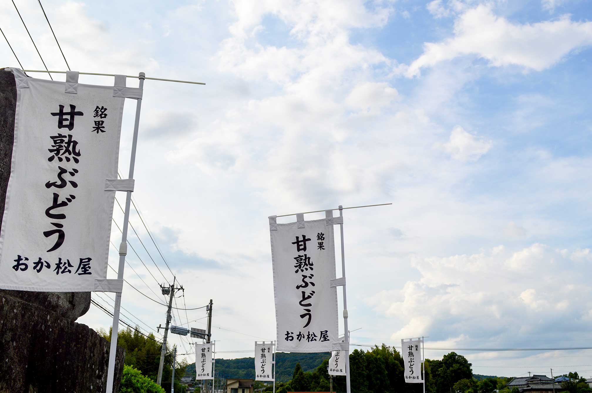 写真/ぶどうを持った男性